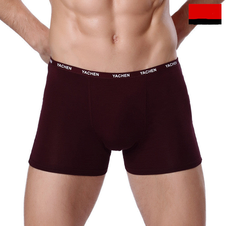 Men's Bamboo Fiber Modal Underwear