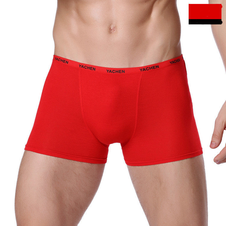 Men's Bamboo Fiber Modal Underwear