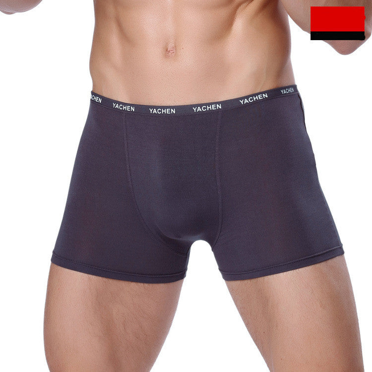 Men's Bamboo Fiber Modal Underwear